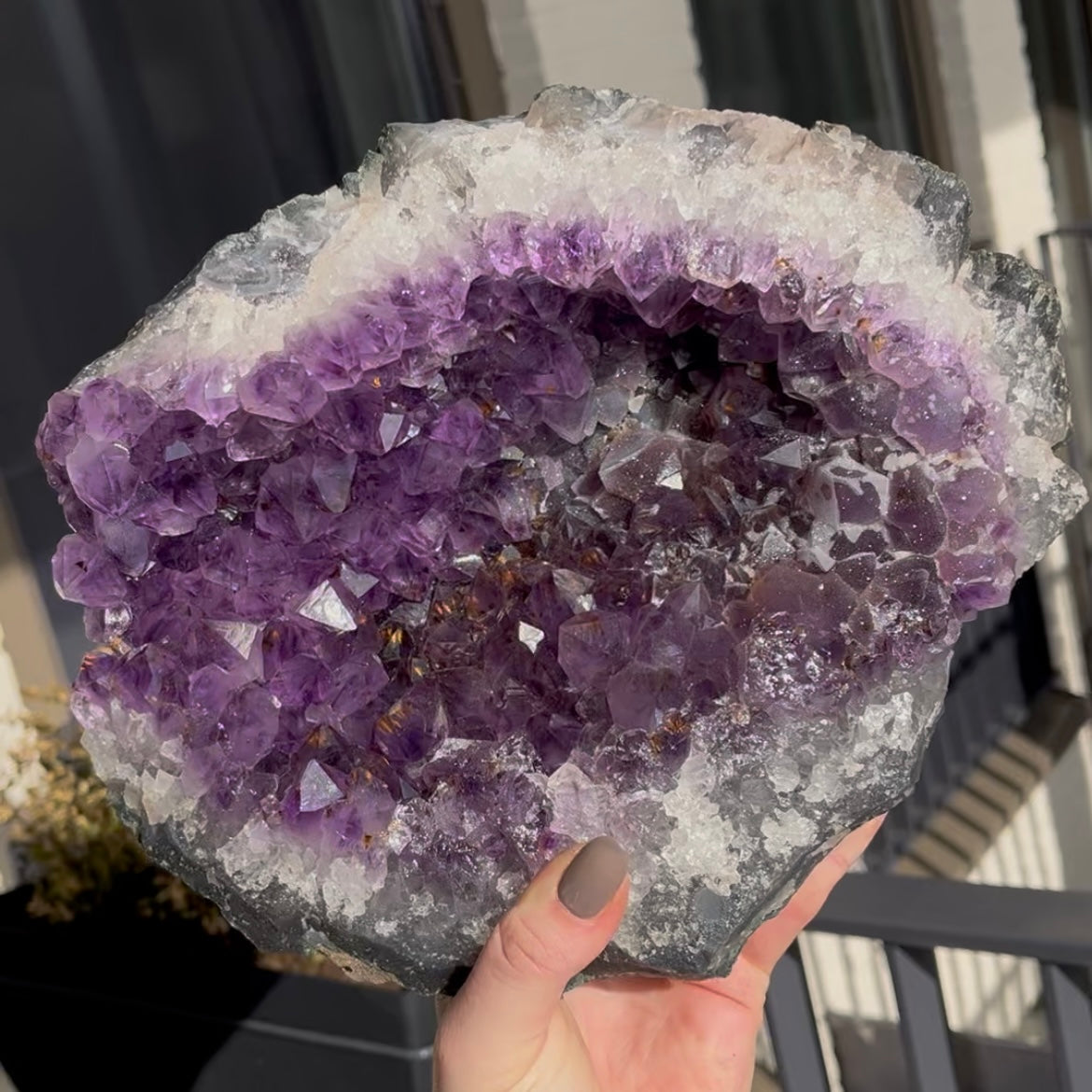 Amethist ‘cut base’ uit Uruguay XXL met rood/bruine accenten en druzy spots.