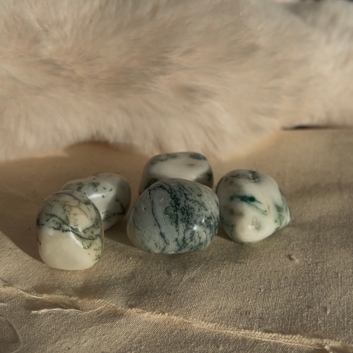 Boomagaat trommelsteen