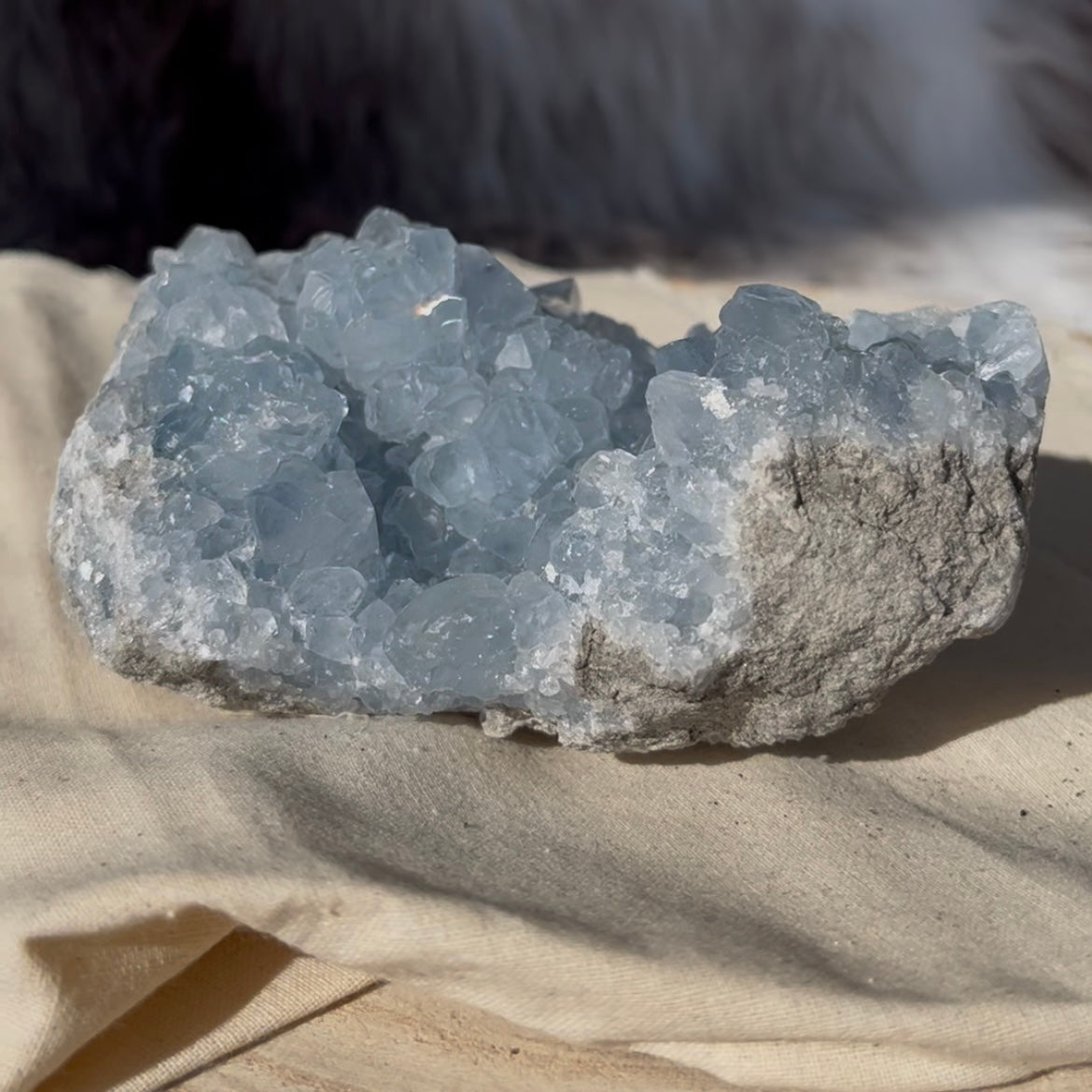 Celestien uit Madagaskar