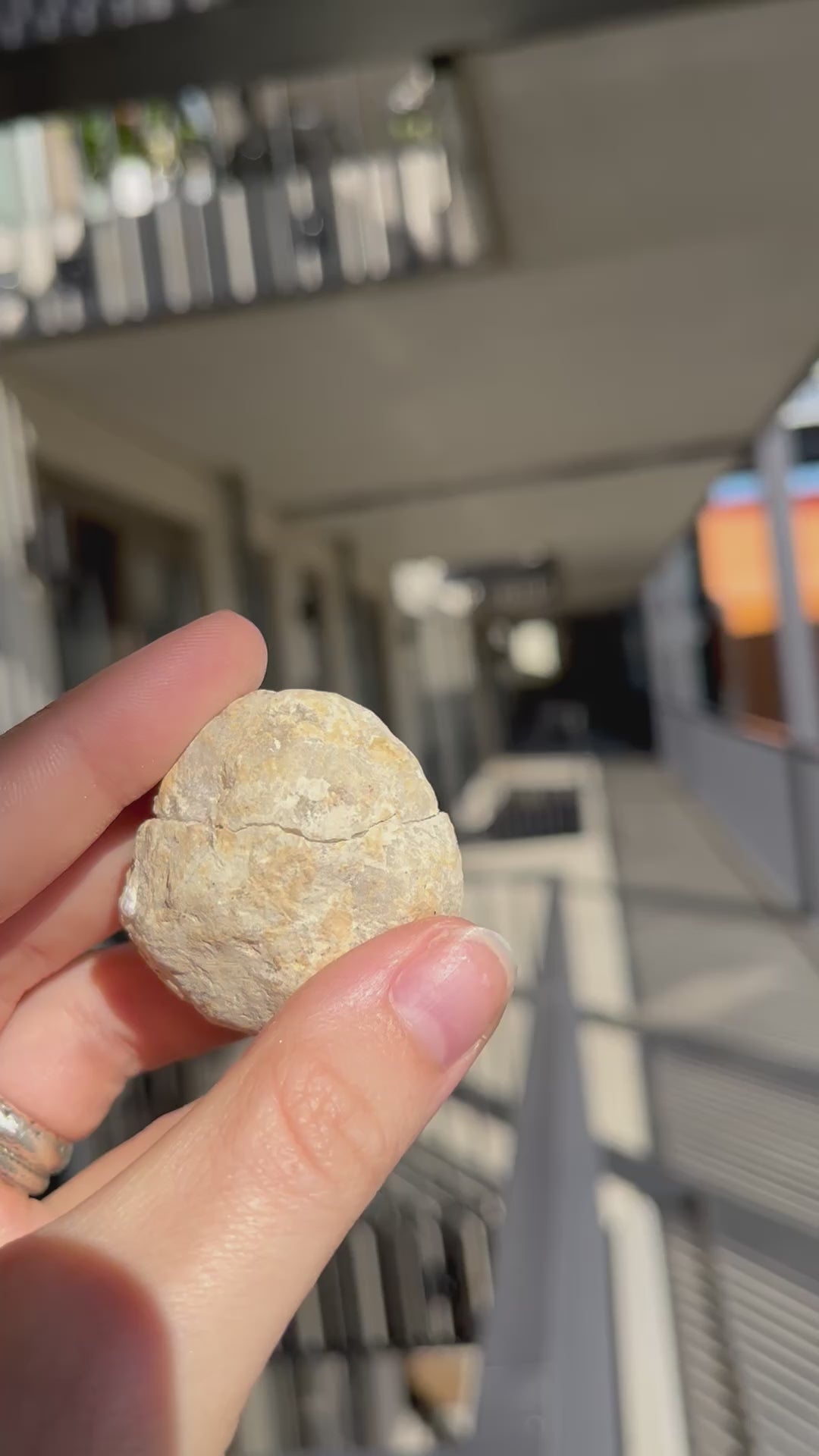 Edelsteen kwarts geode S